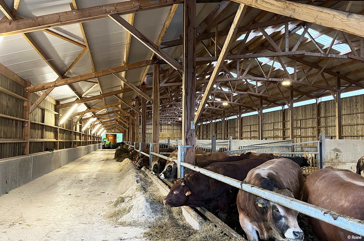 Étable en bois pour élevage de vaches en bio