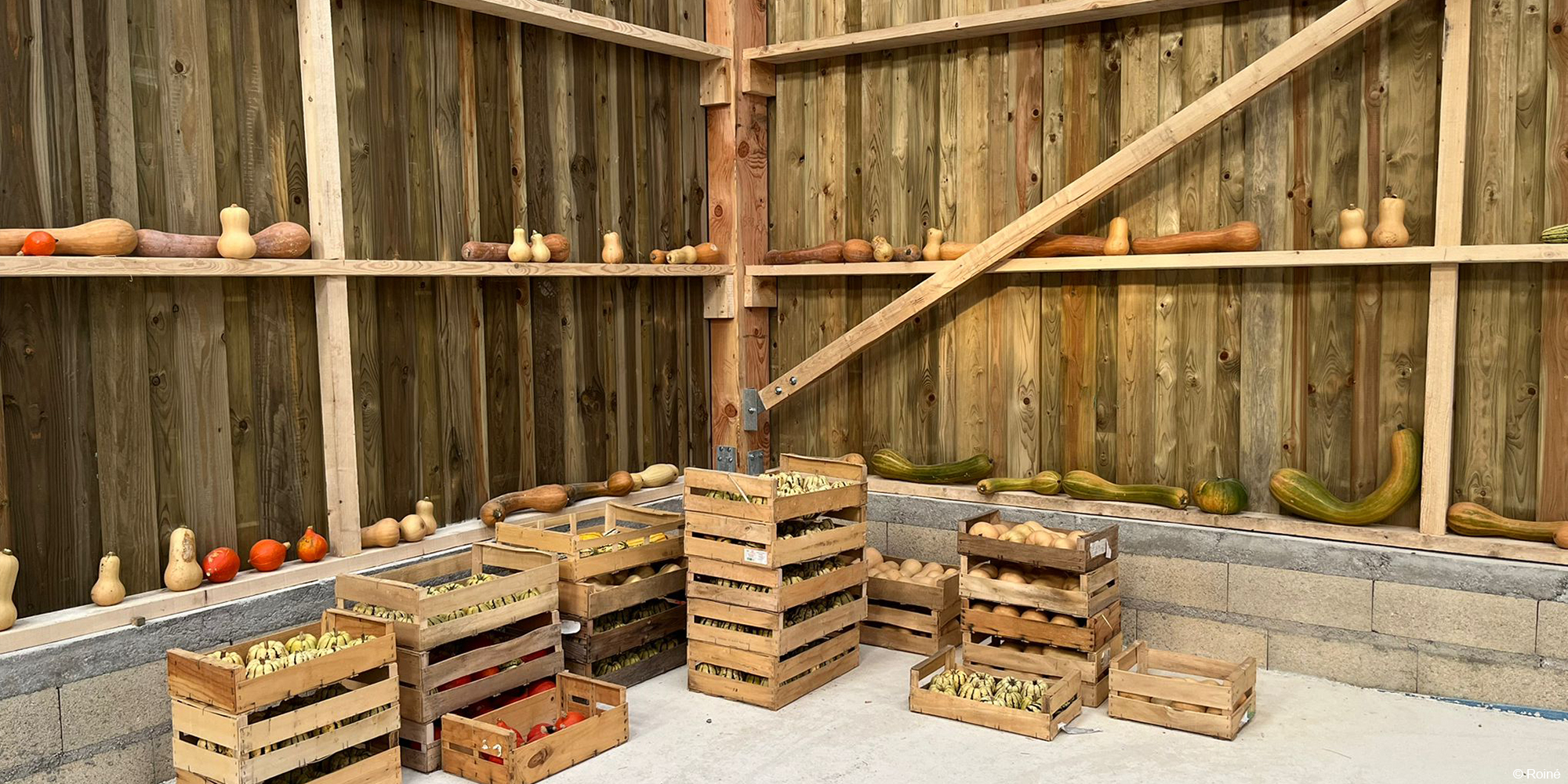 Bâtiment agricole de stockage en bois 