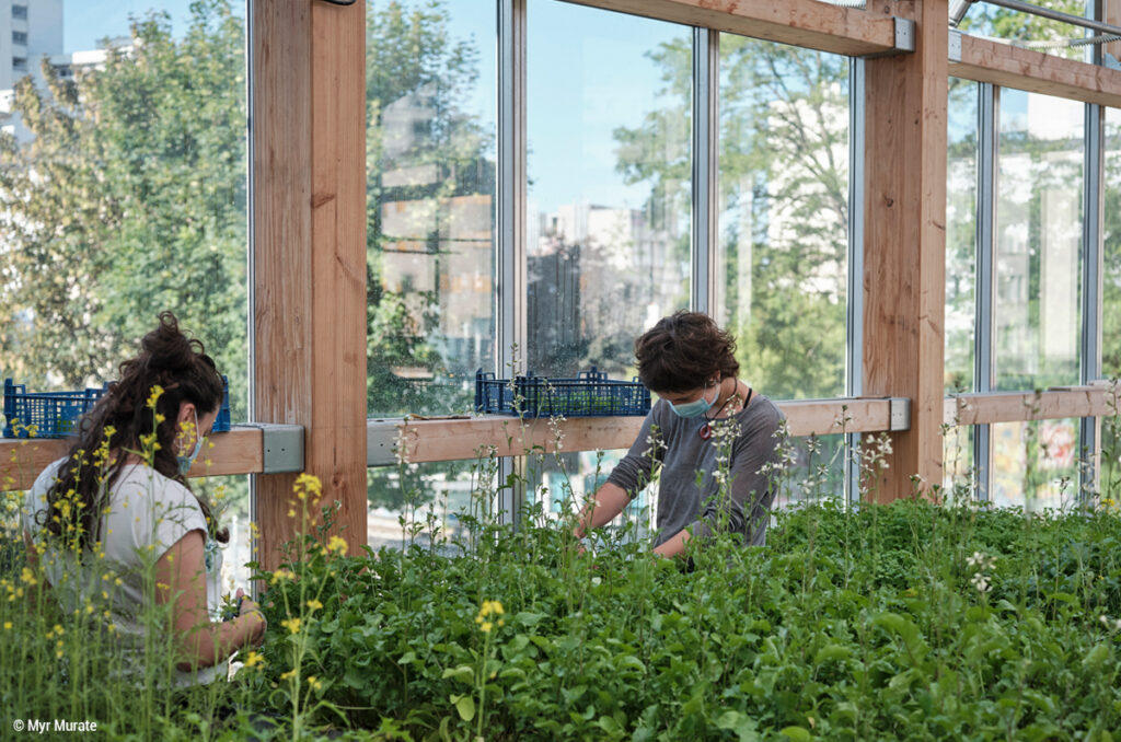 Agriculture urbaine ferme en bois