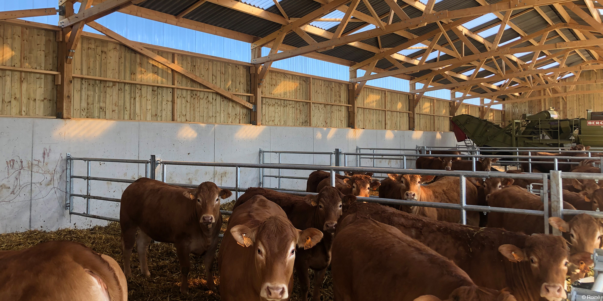 Bâtiments agricoles en bois pour le confort des animaux