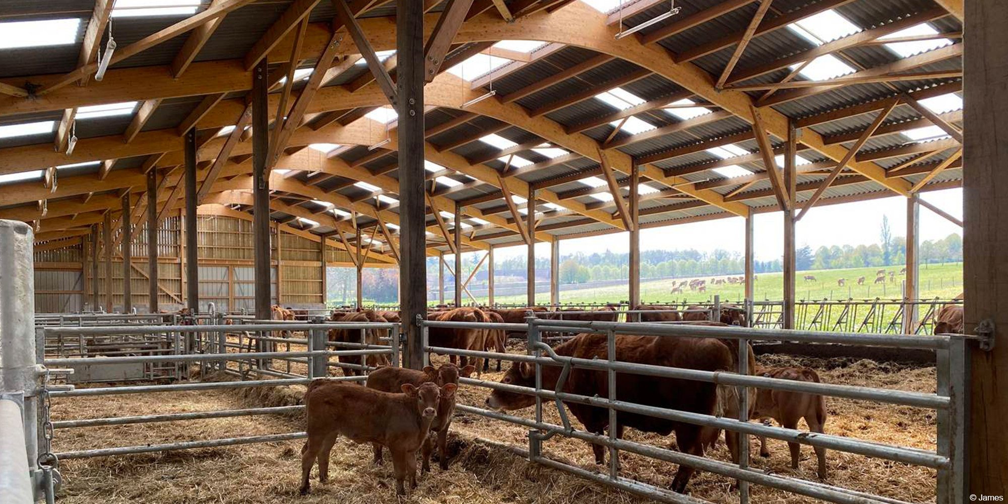 Bâtiment agricole en bois confort des animaux